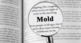 Understanding and Managing Mold in Indoor Environments: Tips for a Healthy Home