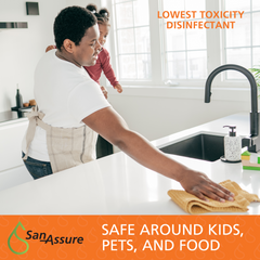 (2) 32 Oz. Cleaner and Disinfectant